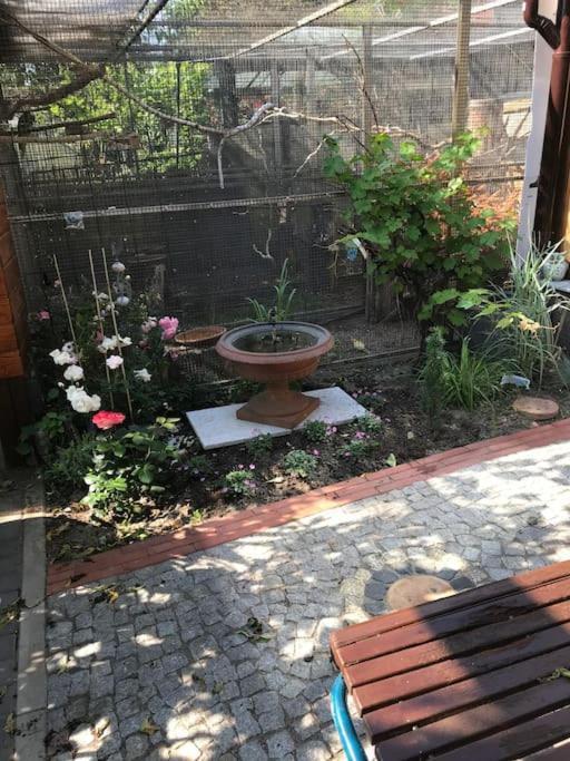 אורניינבורג Unser Studio-Apartment "Wohlfuehloase" מראה חיצוני תמונה